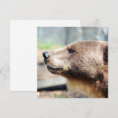 マスター・ブリュイン (正面/裏面)