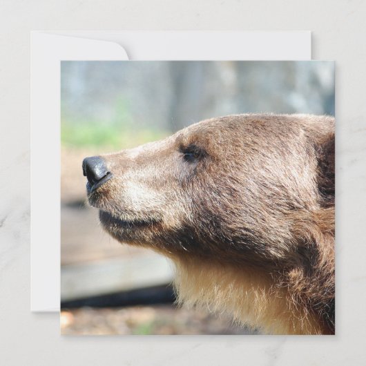 マスター・ブリュイン (正面)