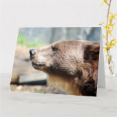 マスター・ブリュイン カード (黄色い花)