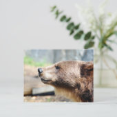 マスター・ブリュイン ポストカード (スタンド正面)