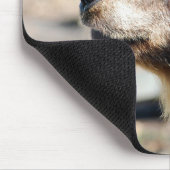 マスター・ブリュイン マウスパッド (コーナー)