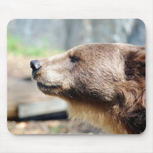 マスター・ブリュイン マウスパッド (正面)