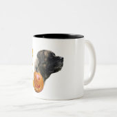 マスチフのブマグをブランドル ツートーンマグカップ (正面右)