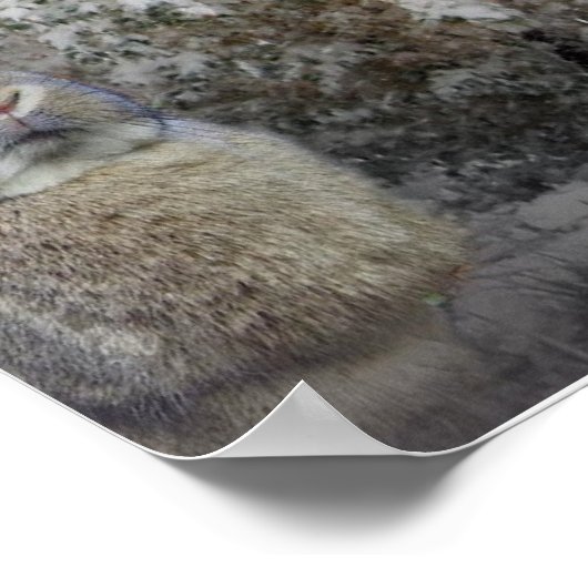 マスティフと小さなウサギのポスター ポスター (角)