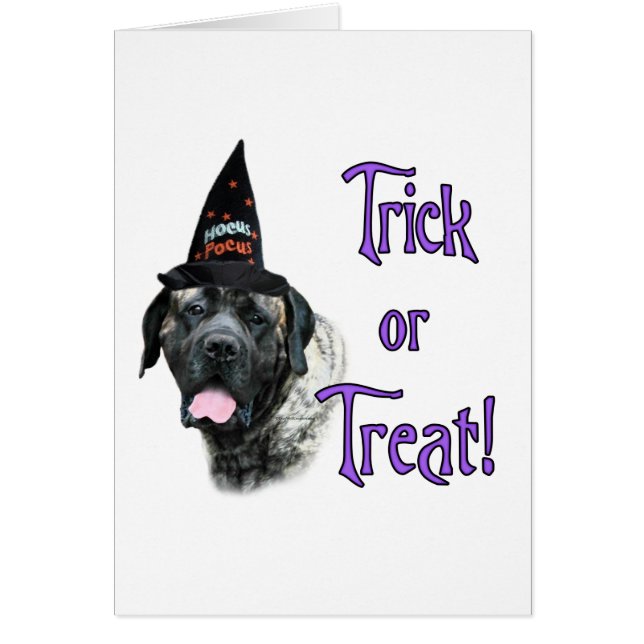 マスティフのトリック (正面)