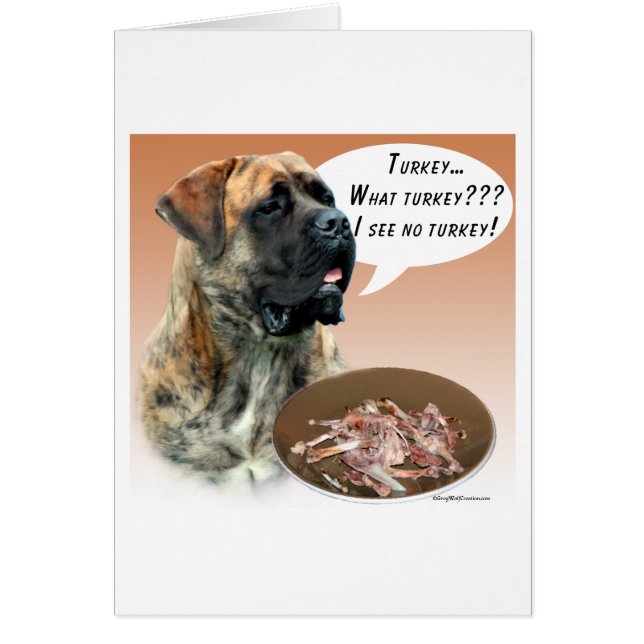 マスティフのトルコ (正面)