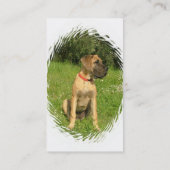 マスティフの名刺 名刺 (裏面)