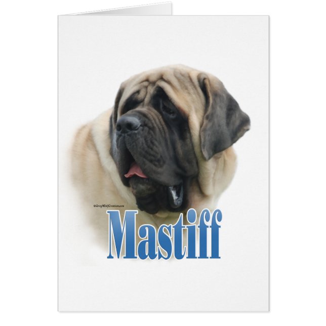 マスティフの名前(Fawn Mastiff Name) (正面)