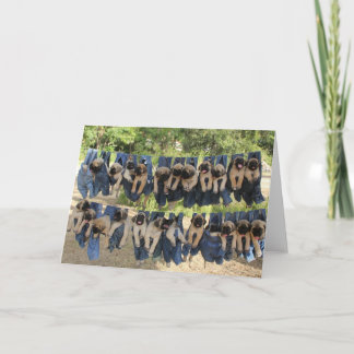 マスティフの子犬のグリーティングカード カード