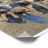 マスティフの子犬のポスター ポスター (角)