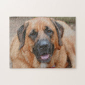 マスティフ犬のアートフォト絵画ズ ジグソーパズル (横)