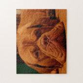 マスティフ犬の品種。 ジグソーパズル (縦)