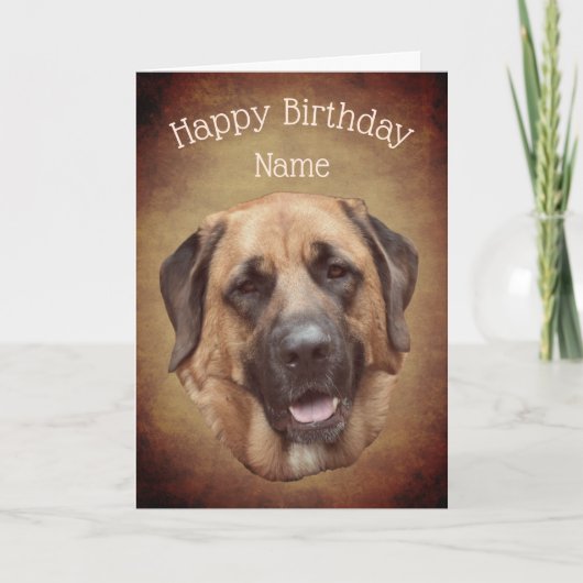 マスティフ犬パーソナライズされた誕生日カード カード (正面)