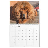 マスティフ犬、マスティフ カレンダー (2月 2027)