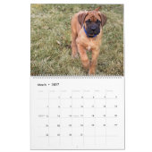 マスティフ犬、マスティフ カレンダー (3月 2027)