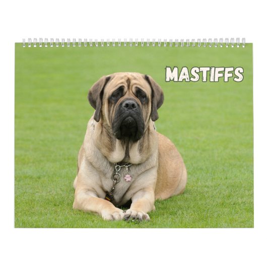 マスティフ犬、マスティフ カレンダー (カバー)