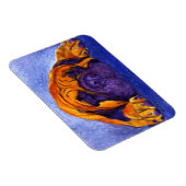 マスティフ磁石 – "ブルータス" マグネット (右側)