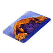 マスティフ磁石 – "ブルータス" マグネット (左側)