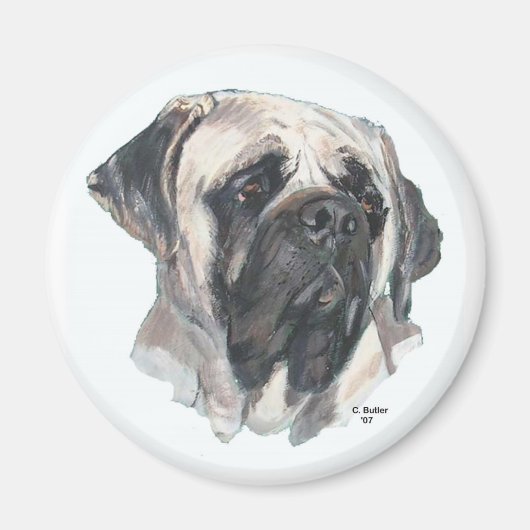 マスティフ磁石 マグネット (正面)