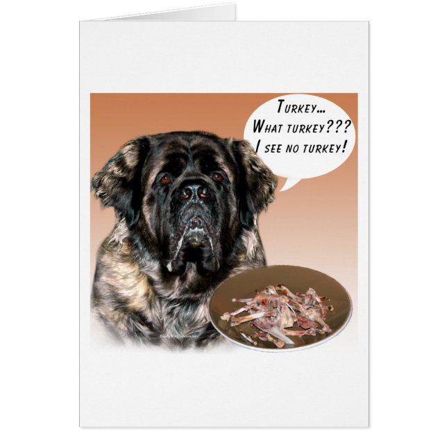 マスティフ（ふわふわ）トルコ (正面)