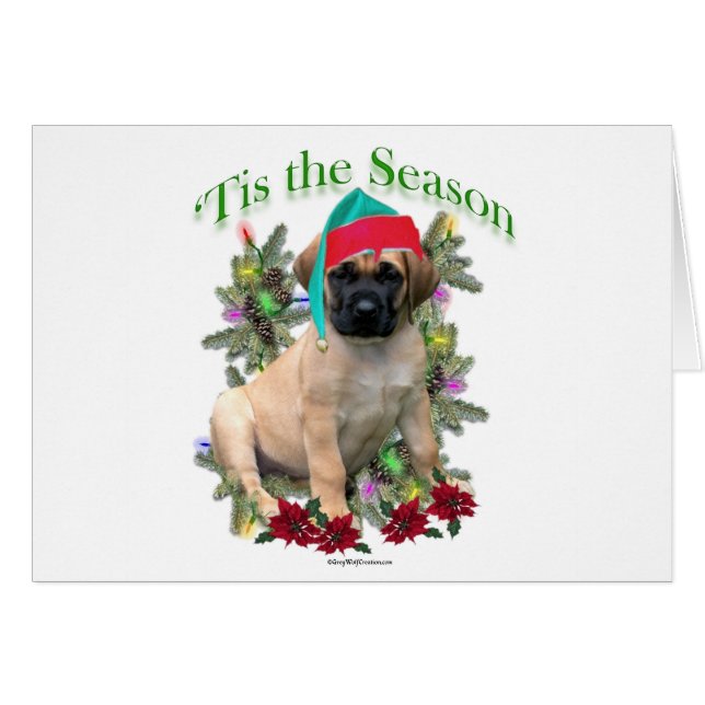 マスティフ・ティス (正面横)