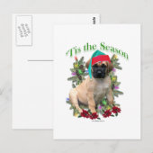 マスティフ・ティス ポストカード (正面/裏面)