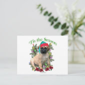 マスティフ・ティス ポストカード (スタンド正面)