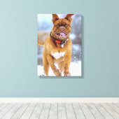 マスティフ・プラス キャンバスプリント (インサイチュ (ウッドフロア))