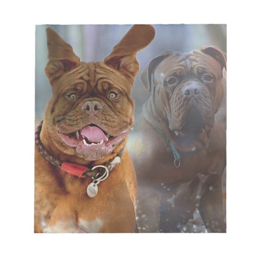 マスティフ・プラス ノートパッド (正面)