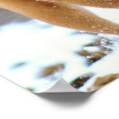 マスティフ・プラス ポスター (角)