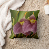 マスデバリア クッション (ブランケット)