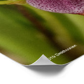 マスデバリア ポスター (角)