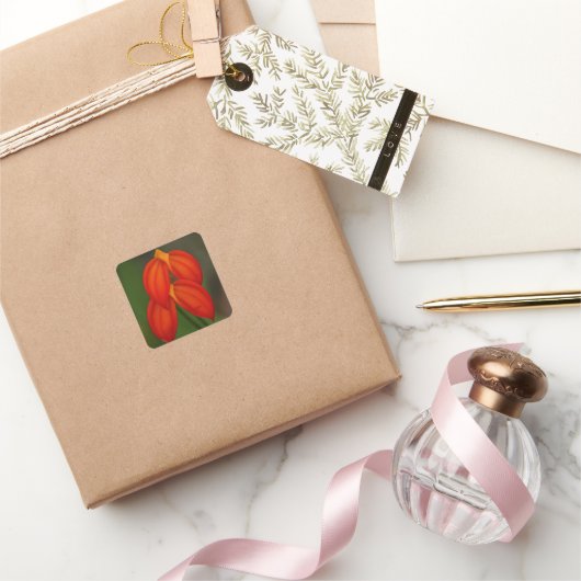 マスデヴァリアイグネアオーキッド スクエアシール (ギフト)