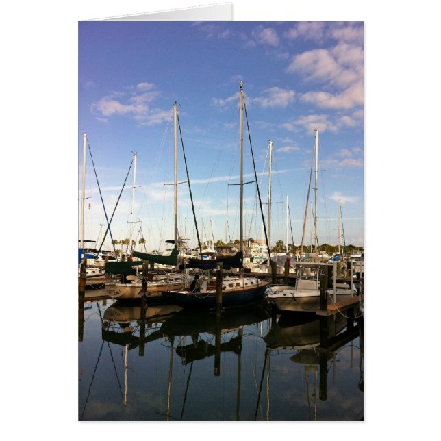 マストの先のミサゴ (正面)