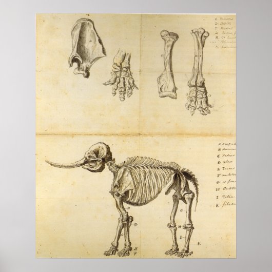 マストドンの作業スケッチ ポスター (正面)