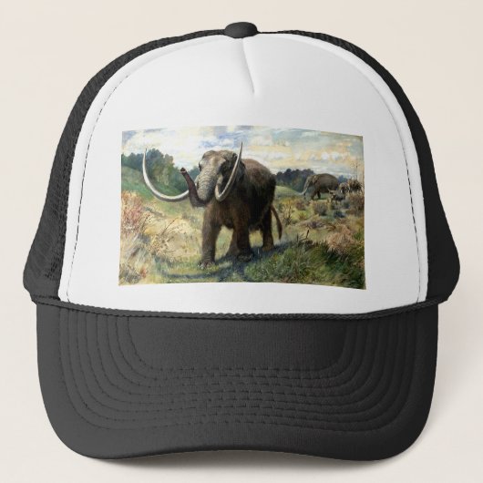 マストドン1 キャップ (正面)