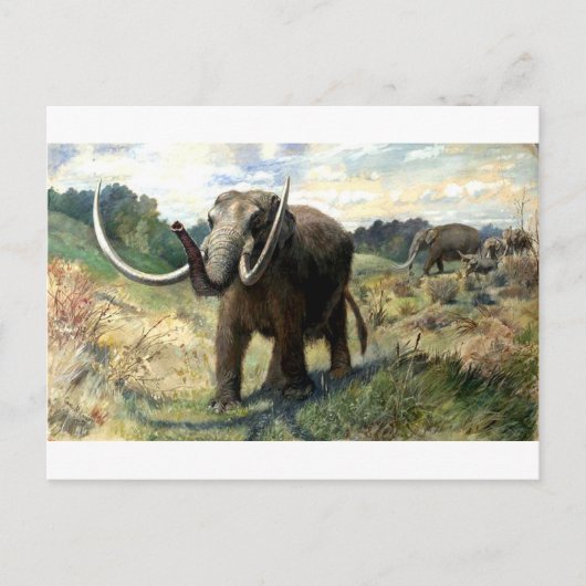 マストドン1 ポストカード (正面)