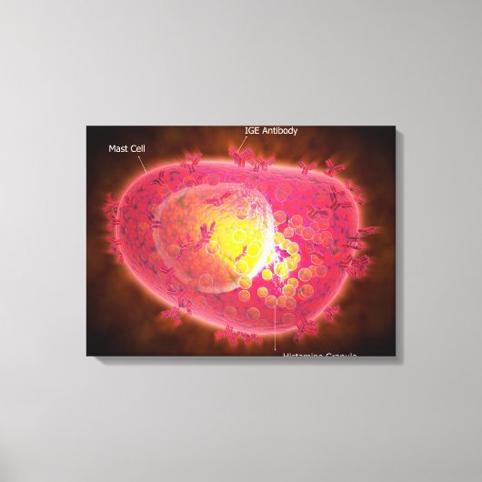 マスト細胞の顕微鏡的見解 キャンバスプリント (正面)
