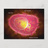 マスト細胞の顕微鏡的見解 ポストカード (正面)