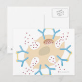 マスト細胞放出ヒスタミン ポストカード (正面/裏面)