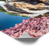 マスパロマスキャット ポスター (角)