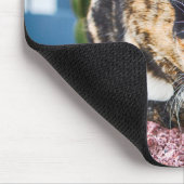 マスパロマスキャット マウスパッド (コーナー)