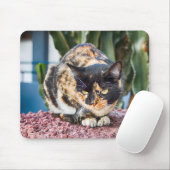 マスパロマスキャット マウスパッド (マウス)