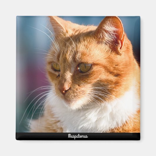 マスパロマスキャット マグネット (正面)