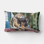 マスパロマスキャット ランバークッション (裏面)