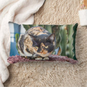 マスパロマスキャット ランバークッション (ブランケット)