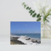 マスパロマスショア ポストカード (スタンド正面)