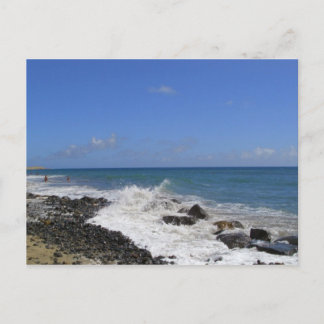 マスパロマスショア ポストカード