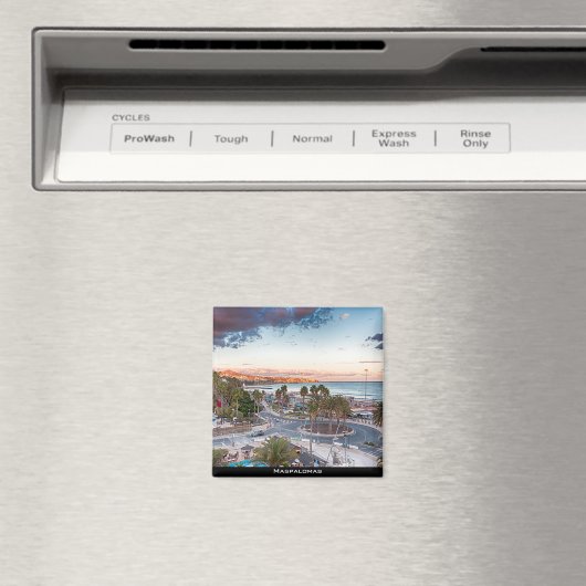 マスパロマス マグネット (インサイチュ (食洗機))