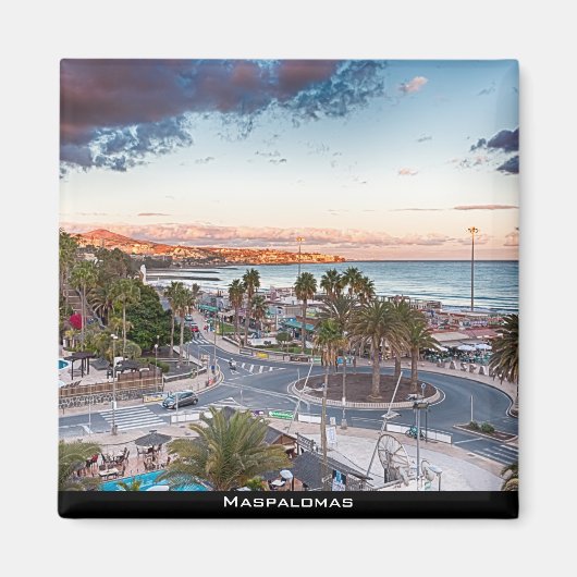 マスパロマス マグネット (正面)